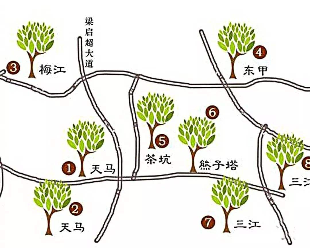 新会陈皮一线核心产区是哪里